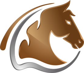 İnsan Kaynakları ve Strateji Derneği (İKSD)